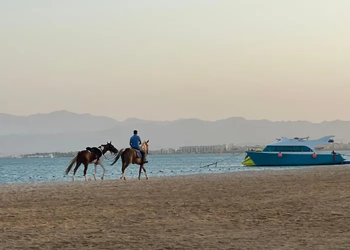Cozy 2br Seaview Loft In Mesca Somabay * Gurdaka